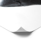 Duitse Herdershond Poster (Hoek)