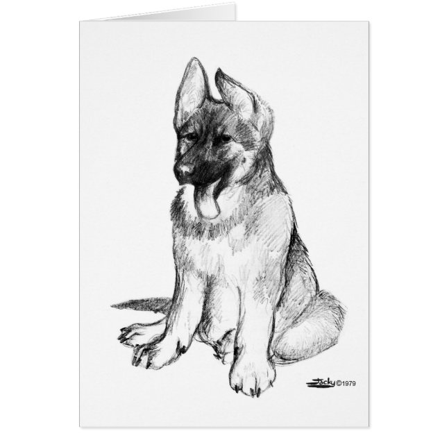 Duitse Herdershond Puppy (Voorkant)