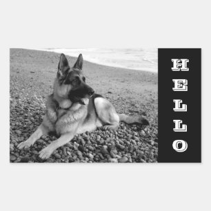 Duitse Herdershond Puppy Hoi / Hallo Sticker / Lab