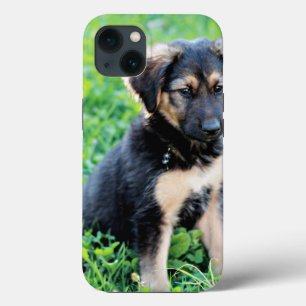 Duitse Herdershond Puppy iPhone 13 Hoesje