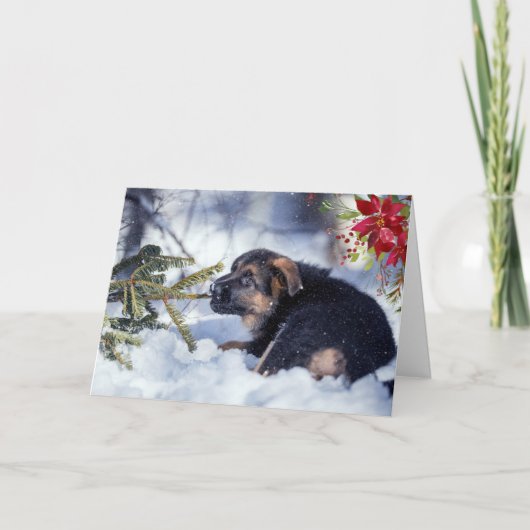 Duitse Herdershond Puppy met Waterverf Poinsettia Kaart (Voorkant)
