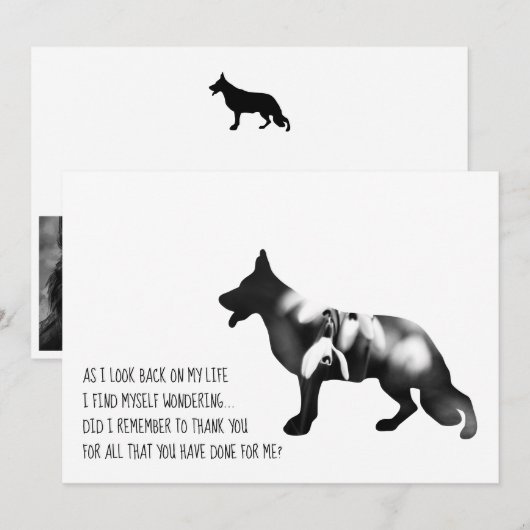 Duitse herdershond Zwart Bedankkaart (Voorkant / Achterkant)