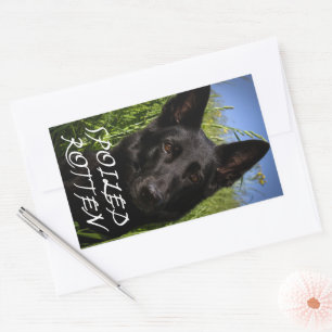 Duitse Herdershond Zwart Verwend Verwend Rechthoekige Sticker
