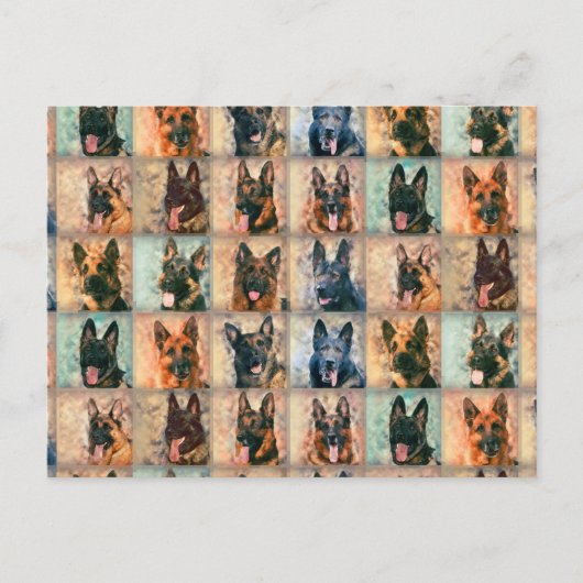Duitse herdershonden - GSD - Collage voor digitale Briefkaart (Voorkant)