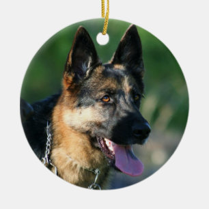 Duitse herdersierplant keramisch ornament