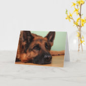 Duitse herderskaart kaart (Gele Bloem)