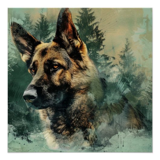 Duitse herdersolie perfect poster (Voorkant)