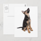 Duitse herderspuppy briefkaart (Voorkant / Achterkant)
