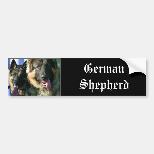 Duitse hommelksticker bumpersticker (Voorkant)