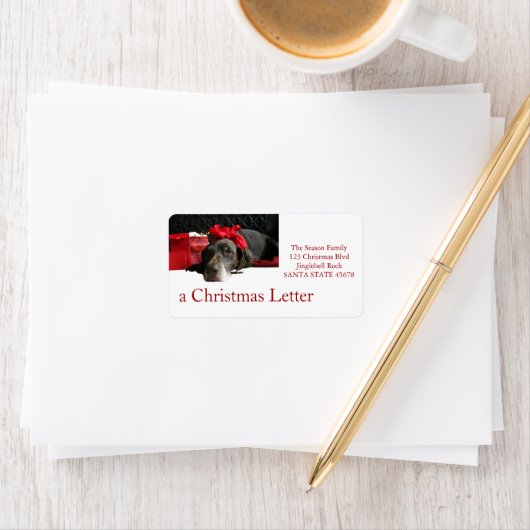 Duitse horthaired pointer bij fireplace etiket (Insitu)