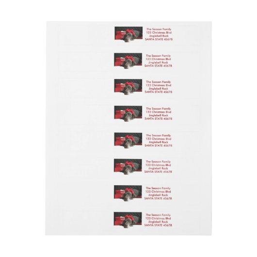 Duitse horthaired pointer bij fireplace omwikkelbaar adreslabel (Vel)