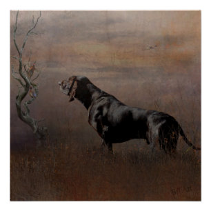 Duitse horthaired Pointer, jachtfazant tape Perfect Poster