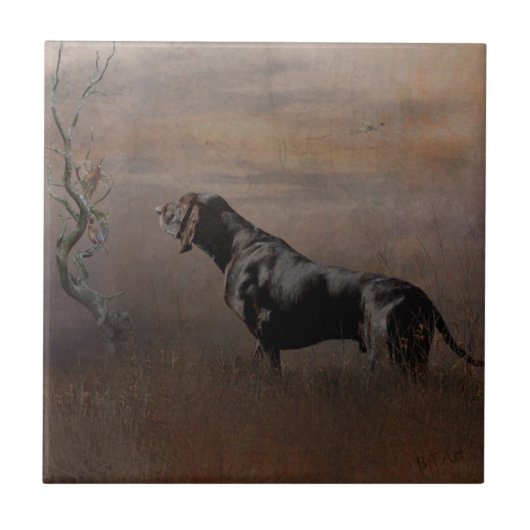 Duitse horthaired Pointer, jachtfazant tape Tegeltje (Voorkant)