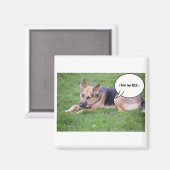 Duitse Humor Shepherd Magneet (Voorkant / Achterkant)