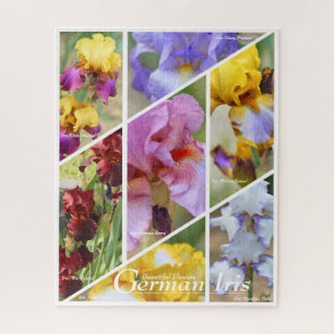 Duitse Iris_01 [Legpuzzel: 520P] ジグソーパズル Legpuzzel