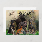 Duitse jaagterger (Jagddooder) Briefkaart (Voorkant / Achterkant)