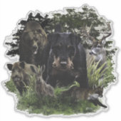 Duitse jaagterger (Jagddooder) Sticker (Voorkant)