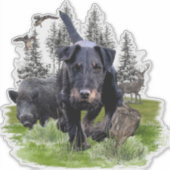 Duitse jaagterger (Jagddooder) Sticker (Voorkant)