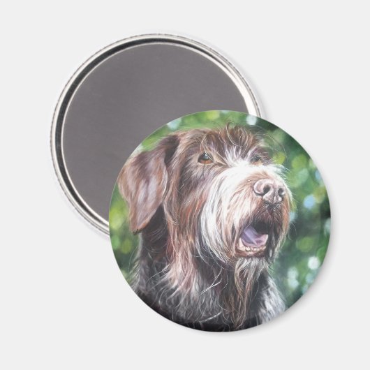Duitse jachthond met wirehair pointer magneet (Voorkant / Achterkant)