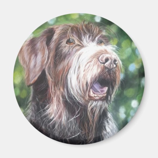 Duitse jachthond met wirehair pointer magneet (Voorkant)