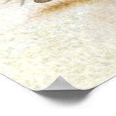 Duitse Jachtterriër (Jagdterrier)  Poster (Hoek)