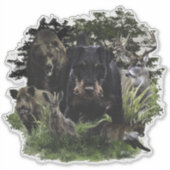 Duitse Jachtterriër (Jagdterrier) Sticker (Voorkant)