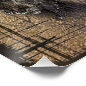 Duitse Jagdshier Tapestry Perfect Poster (Hoek)