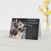 Duitse Kaart Shepherd (Gele Bloem)