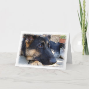 Duitse Kaart Shepherd