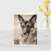 Duitse Kaart Shepherd (Gele Bloem)