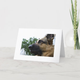 Duitse Kaart Shepherd