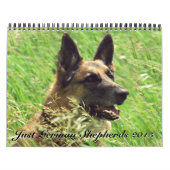 Duitse kalender Shepherd 2015 (Hoes)