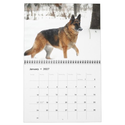 Duitse kalender Shepherd 2015 (Jan 2027)