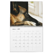 Duitse kalender Shepherd 2015 (Mar 2027)