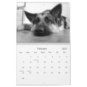 Duitse kalender Shepherd (GSD) (Feb 2027)