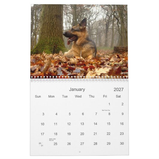 Duitse kalender Shepherd (GSD) (Jan 2027)