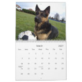 Duitse kalender Shepherd (GSD) (Mar 2027)