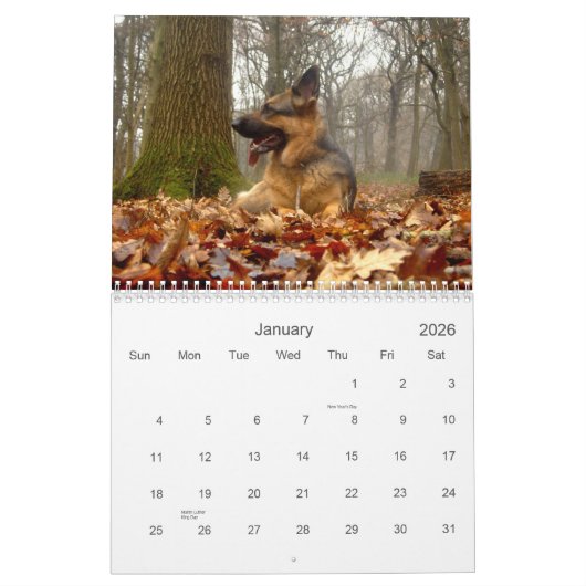 Duitse kalender Shepherd (GSD) (Jan 2026)