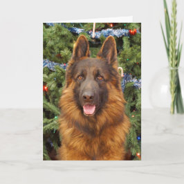 Duitse kerstKaart Shepherd Feestdagen Kaart