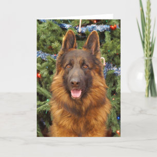 Duitse kerstKaart Shepherd Feestdagen Kaart