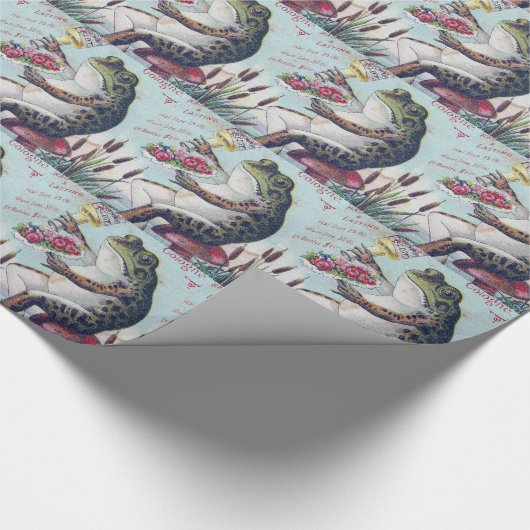 -Duitse Keulen-Kikker Cadeaupapier (Hoek)