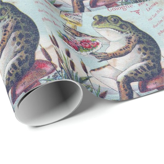 -Duitse Keulen-Kikker Cadeaupapier (Rol Hoek)