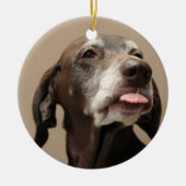 Duitse Korthaired pointer kerst ornament (Voorkant)