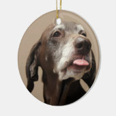 Duitse Korthaired pointer kerst ornament (Links)