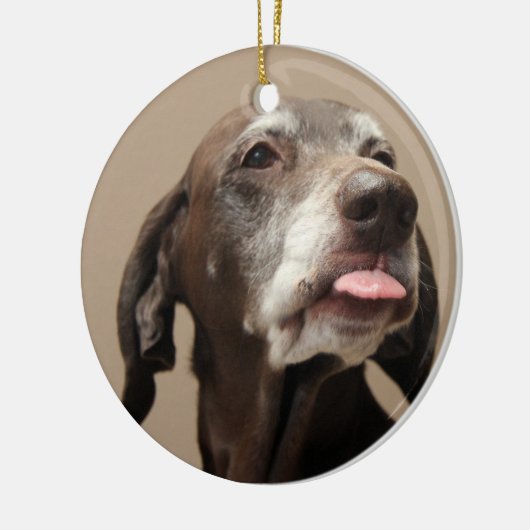 Duitse Korthaired pointer kerst ornament (Links)