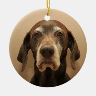 Duitse Korthaired pointer kerst ornament
