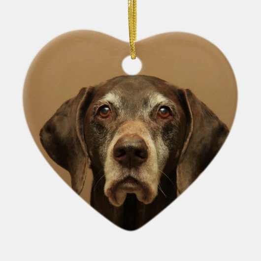 Duitse Korthaired pointer kerst ornament (Voorkant)