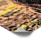 Duitse Kortharige aanwijzer, aanwijzer, SAP Poster (Hoek)