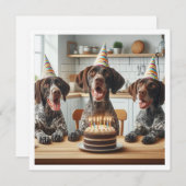 Duitse kortharige aanwijzer, hond verjaardag kaart (Voorkant / Achterkant)