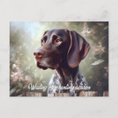 Duitse kortharige aanwijzer wachten briefkaart (Voorkant)